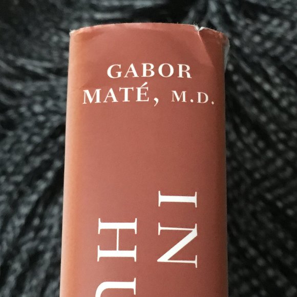 'In the Realm of Hungry Ghosts' First Edition Hardcover By Gabor Maté - Picture 7 of 8